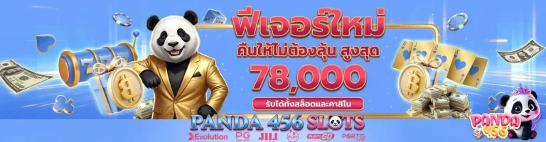panda 456 wallet
